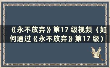 《永不放弃》第17 级视频（如何通过《永不放弃》第17 级）